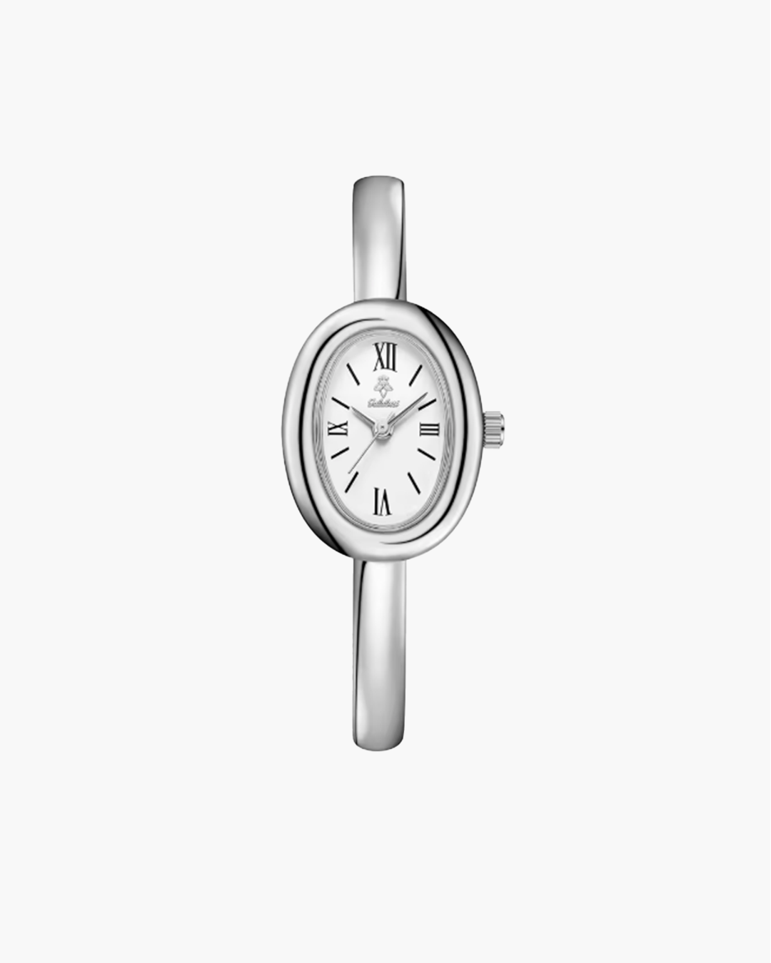 Luxury Watch - Swiss Design